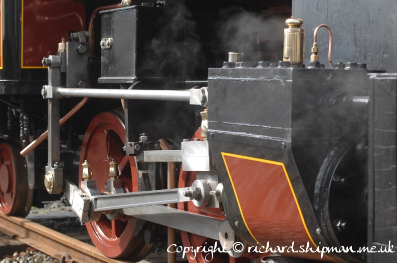 DSC_7377.JPG