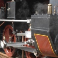 DSC_7377.JPG
