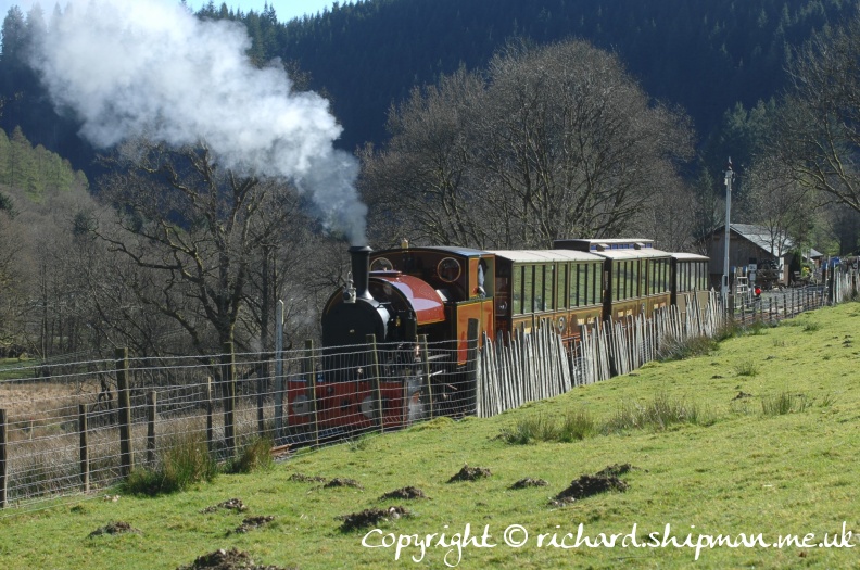 DSC_7409.JPG