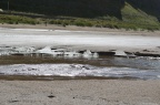 DSC_5051.JPG