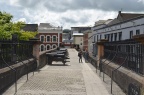 DSC_4879.JPG
